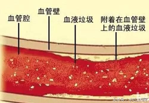 羊奶堪称人体血液清洁剂