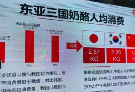 “小众”乳品实现600亿？奶酪，真的能爆发？